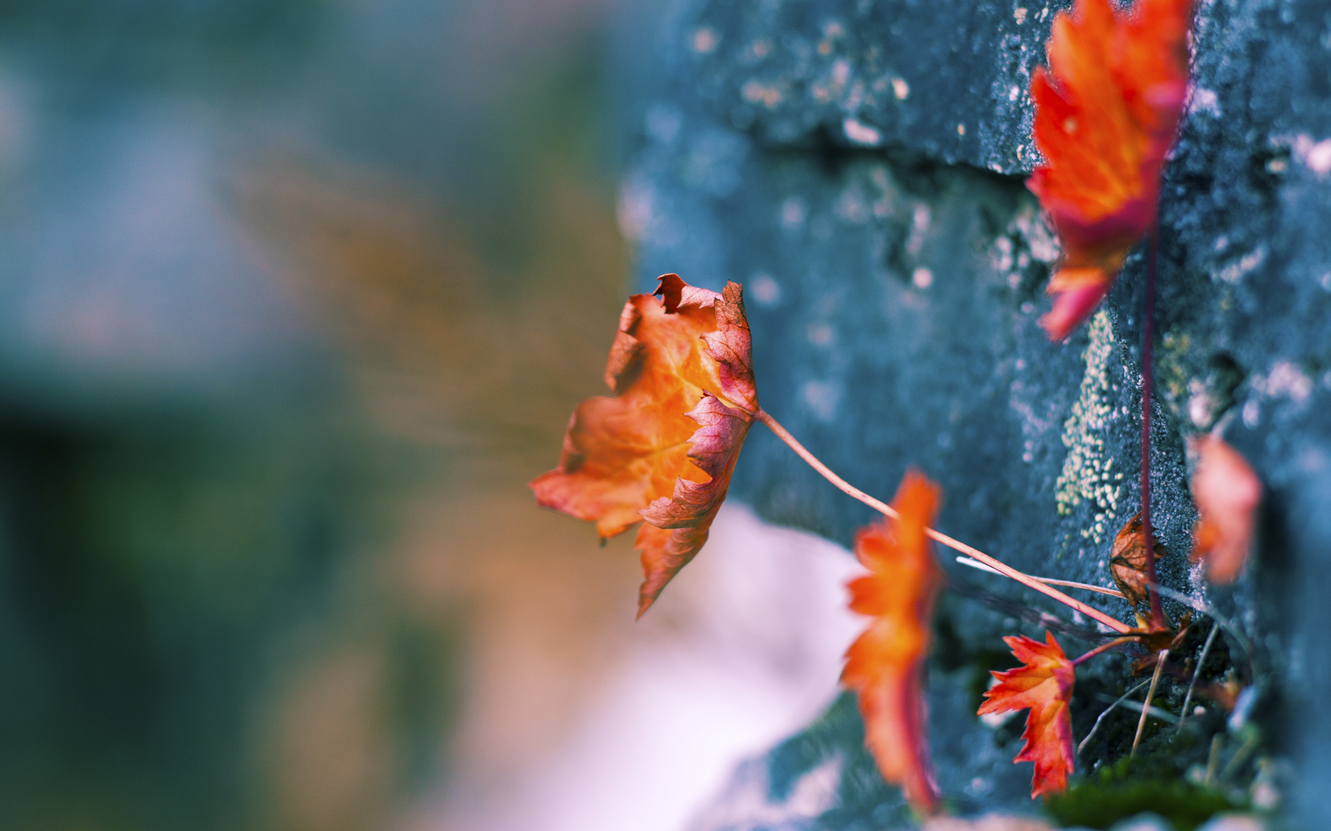 开云官方网站-《【行业展望】2025年电竞产业五大潜在变革点》，2020年电竞产业发展