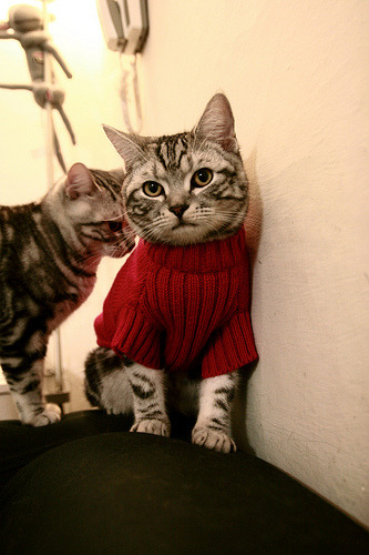 【电子裁判正式启用】科技保障比赛公平性，是否精准保障？，电子竞技裁判员证考试