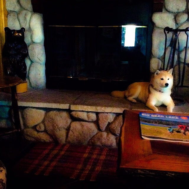 墨西哥队前锋马丁内斯在巴黎奥运会上表现出色,墨西哥产的马丁