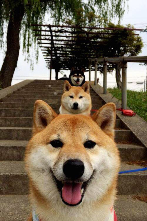 Kaiyun(中国)开云-意大利举重选手在男子比赛中获得金牌，意大利举重选手在男子比赛中获得金牌的是谁